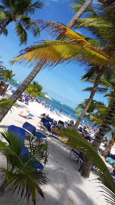 Ausblick Villas Bavaro Resort & Spa