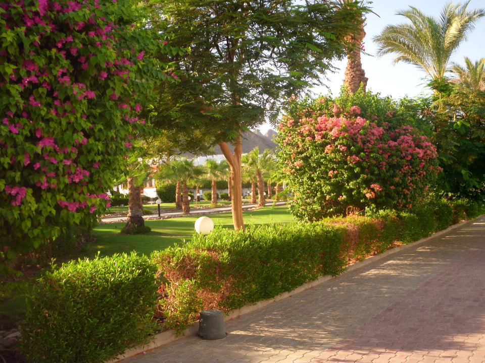 Zahrada Happy Life Village