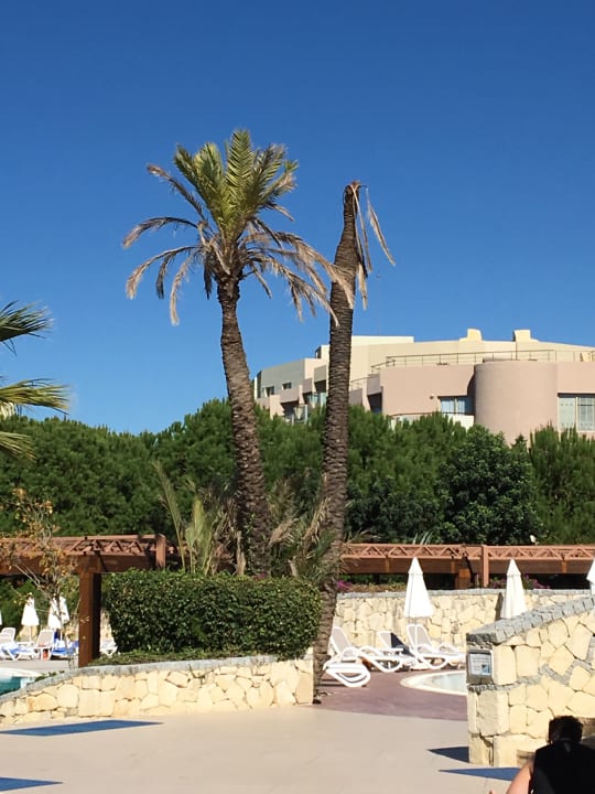 Gartenanlage Blue Waters Club