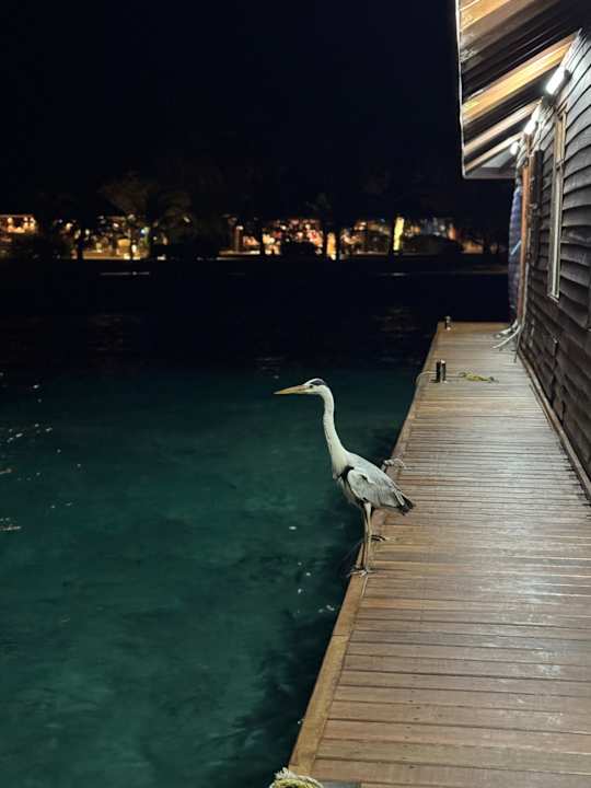 Sonstiges Adaaran Select Meedhupparu Island Resort - Premium All Inclusive