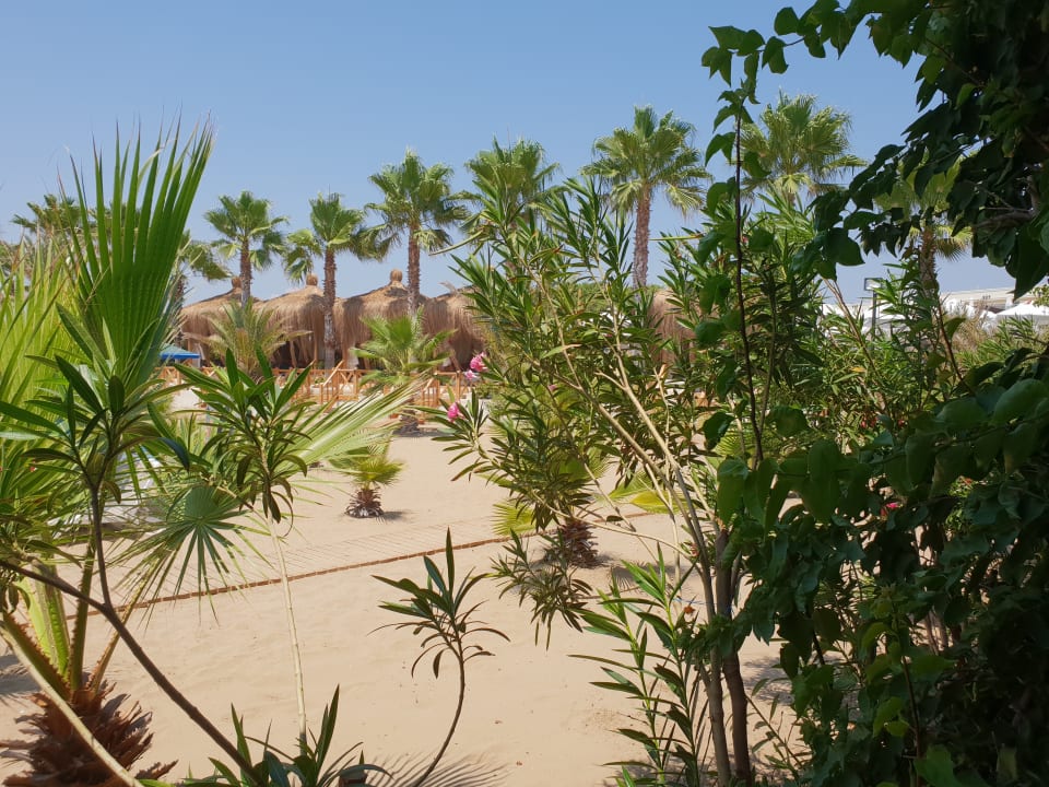 Strand Paloma Oceana