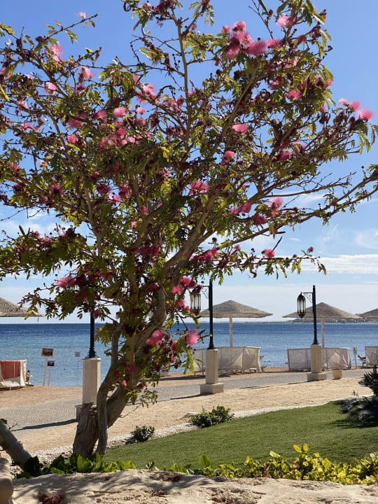 Strand Makadi Spa - Adults only