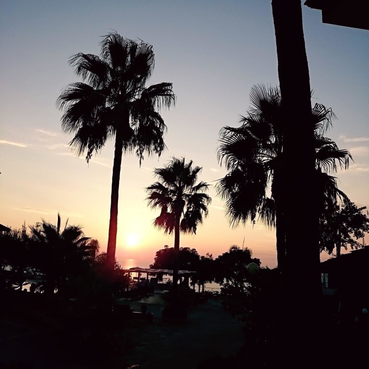 Sonnenuntergang Palmen Hotel Residence Santa Monica