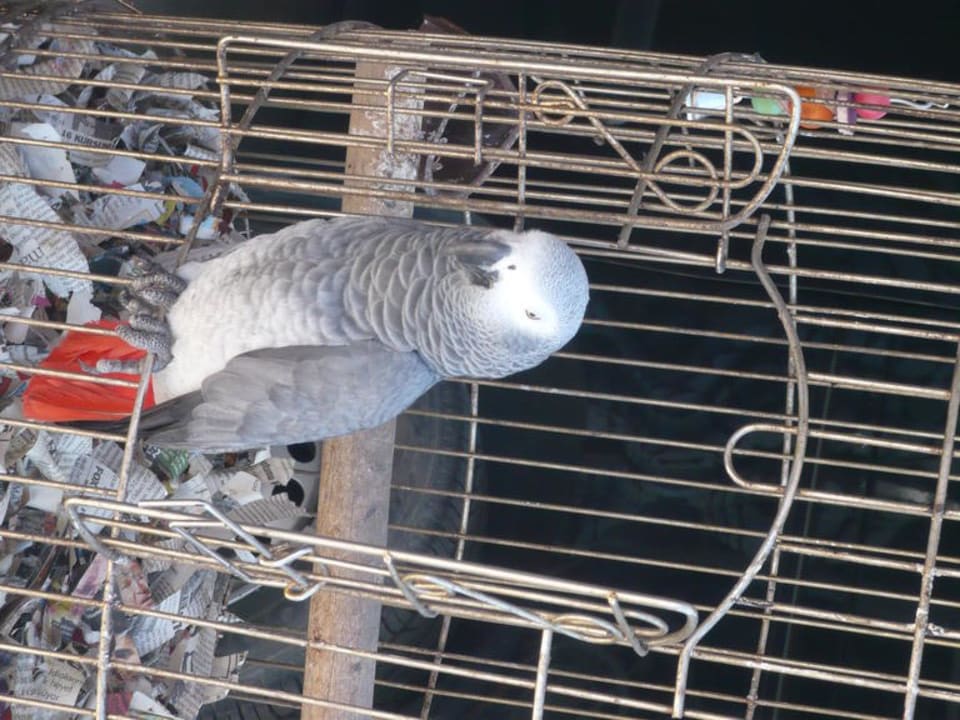 Jakob Hotel Orfeus Park