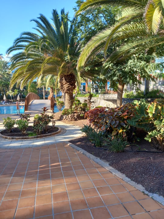 Gartenanlage R2 Pajara Beach