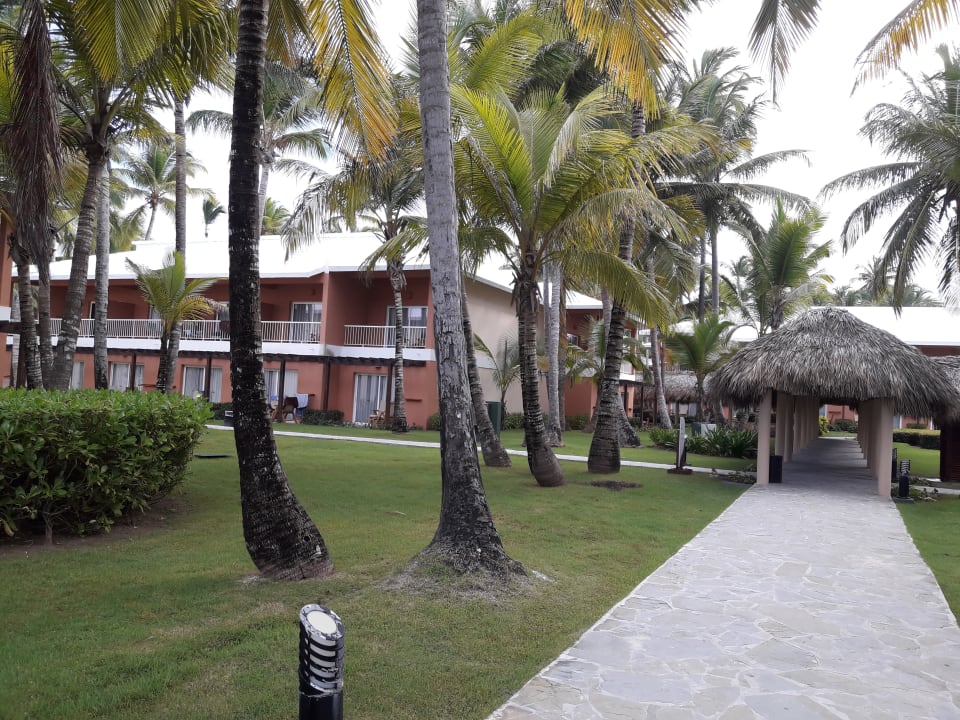 Gartenanlage Hotel Grand Palladium Palace Resort, Spa & Casino