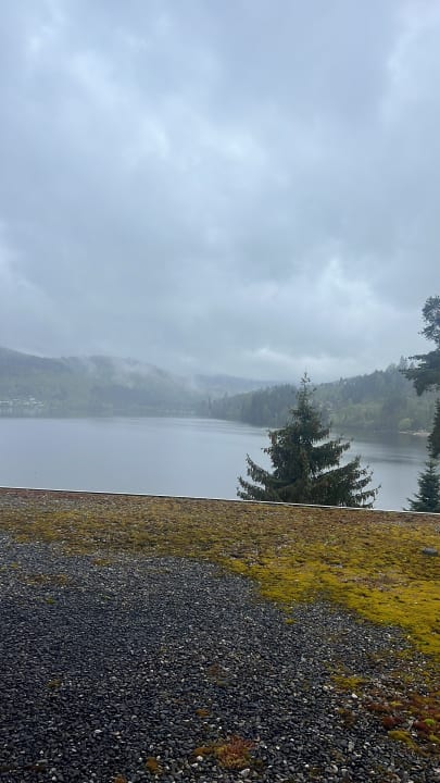 Ausblick Treschers Schwarzwald Hotel