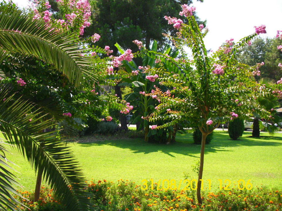 Schöne Gartenanlage Arcanus Hotels Sorgun