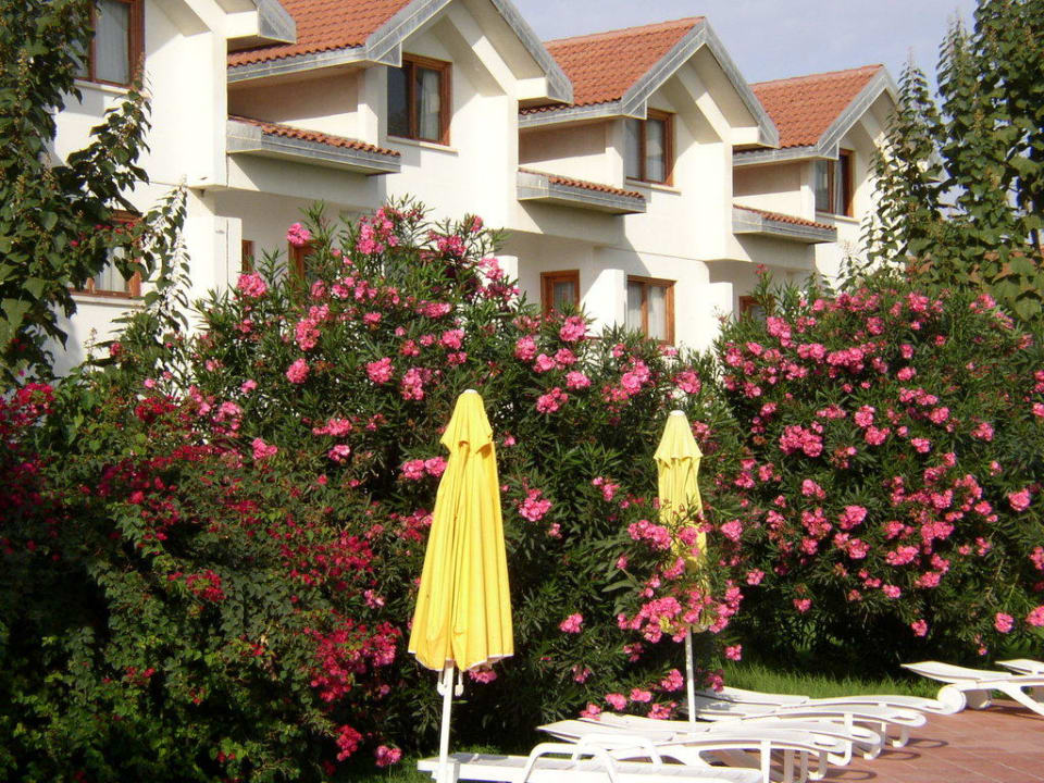 Blick auf Reihenhäuser Salamis Bay Conti Resort Hotel & Casino