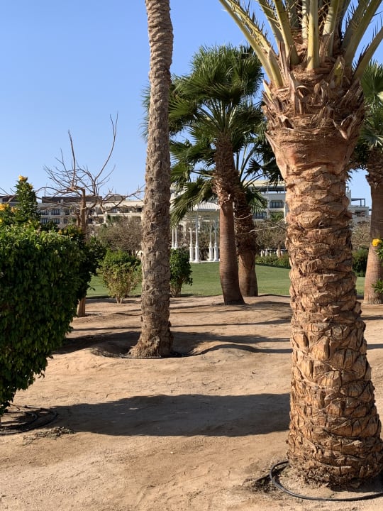 Gartenanlage Steigenberger Aqua Magic