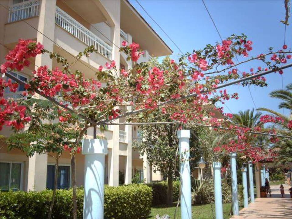 Weg zu den einzelnen Hotelblöcken  VIVA Blue & Spa