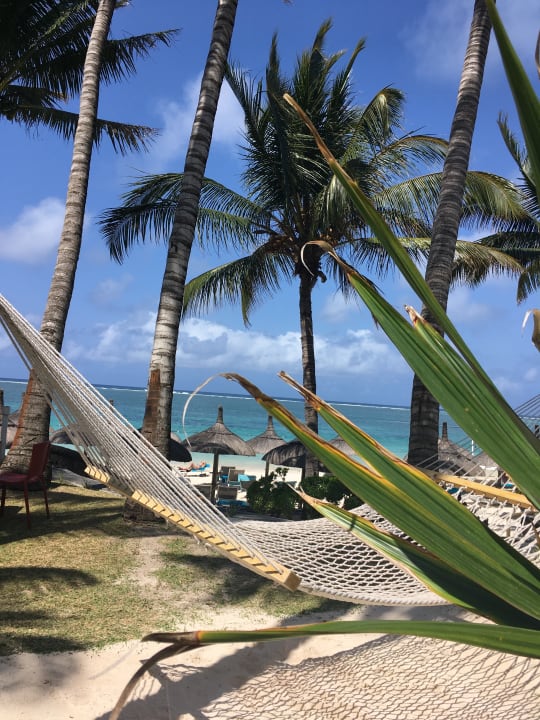 Gartenanlage Veranda Palmar Beach Hotel