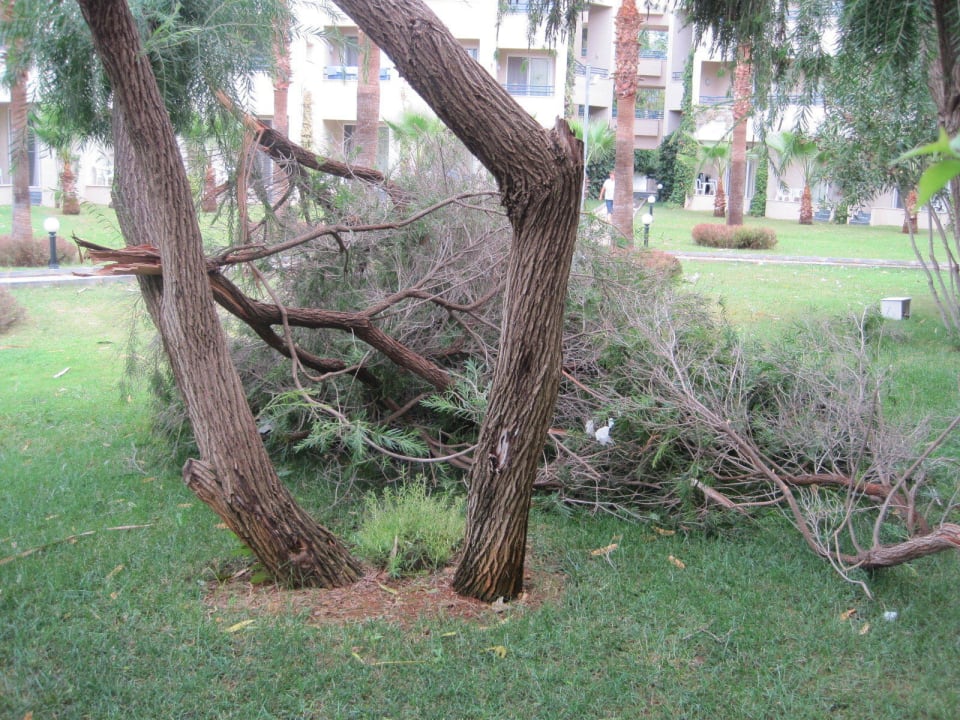 Nach dem Sturm Labranda Alantur Resort