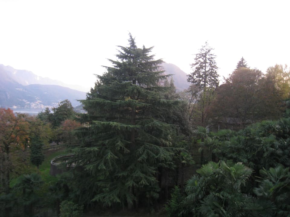 Вид с балкона Continental Parkhotel