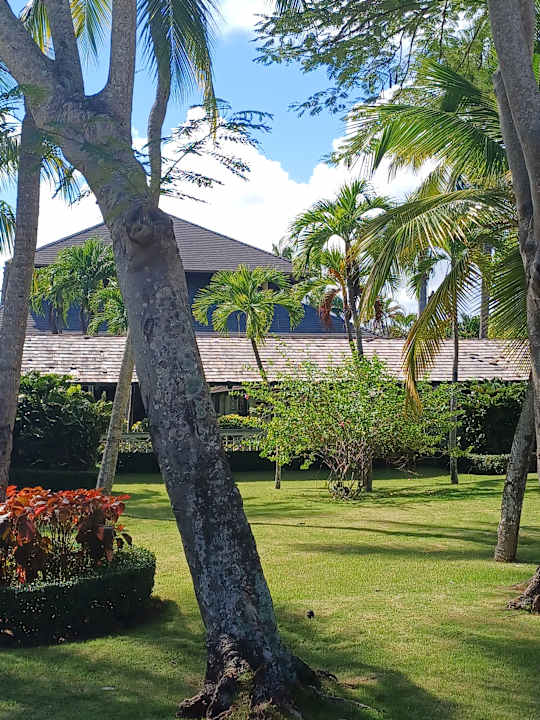 Gartenanlage Iberostar Waves Punta Cana