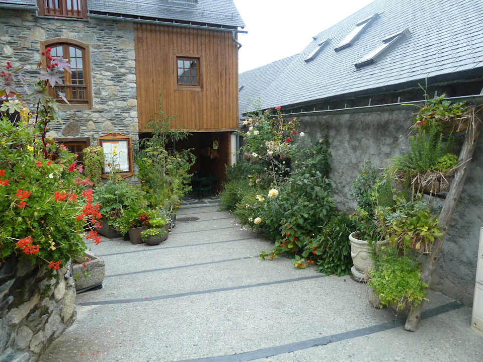 Frische natürliche Gewürze 1150 ü.ms. Logis Hotel La Grange Aux Marmottes - Les Campanules