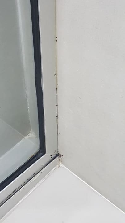 Zimmer Napa Mermaid Hotel & Suites