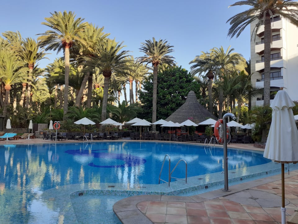 Gartenanlage Seaside Hotel Palm Beach