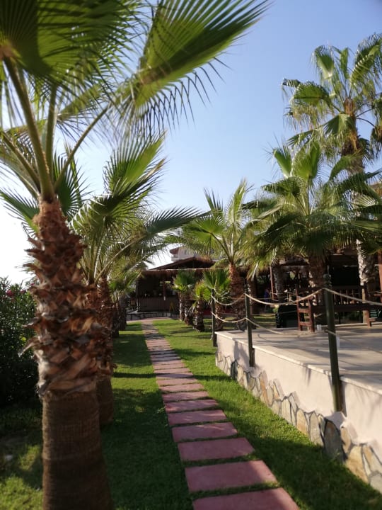 Gartenanlage Club Dizalya