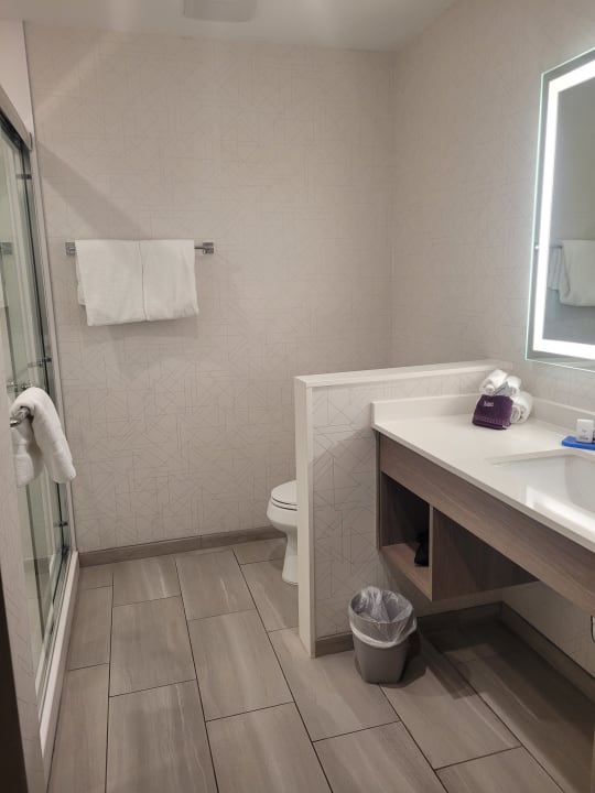 Zimmer Holiday Inn Express Palm Desert