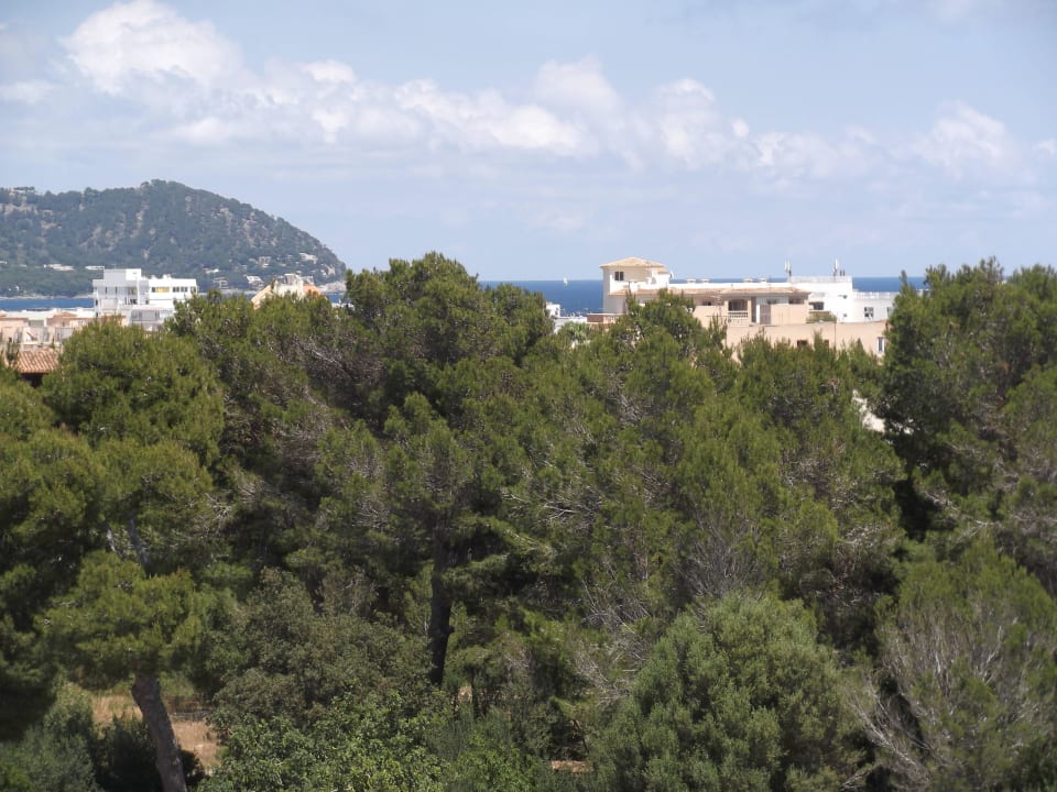 Zimmerausblick Millor Sol