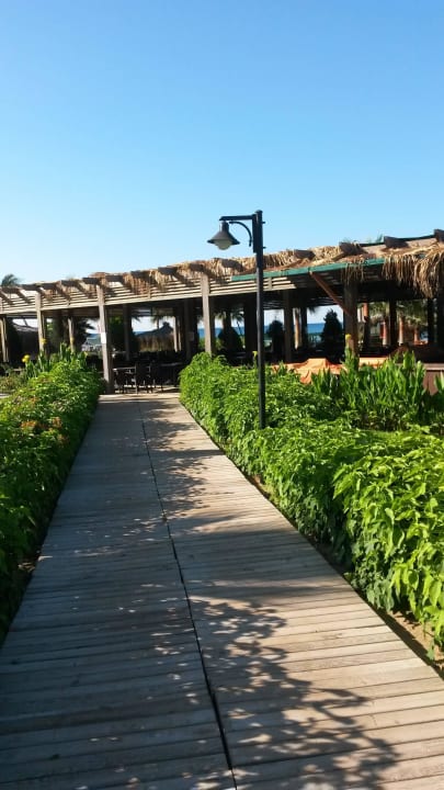 Weg zur Strandbar Royal Atlantis Beach Hotel