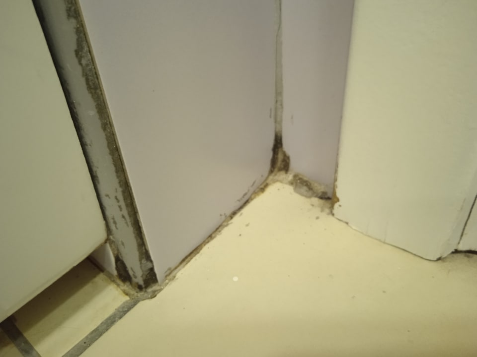 Zimmer TUI BLUE Tropical