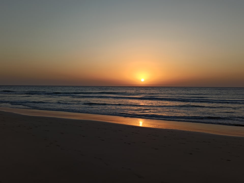 Strand Royal Palm Resort & Spa - Adults only