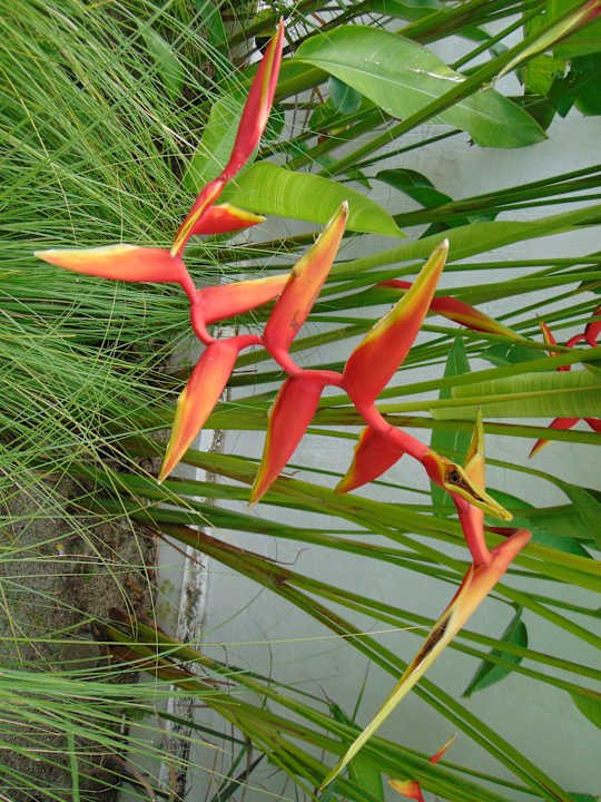 Gartenanlage Amber Lombok Beach Resort