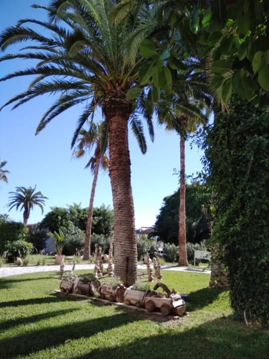 Gartenanlage The Orangers Beach Resort and Bungalows