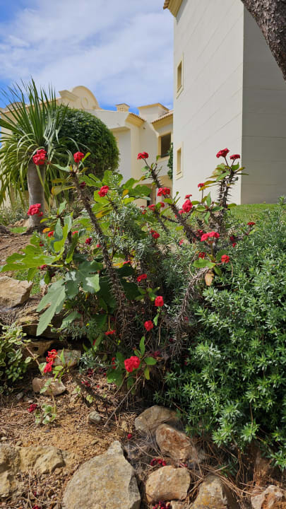 Gartenanlage AP Adriana Beach Resort