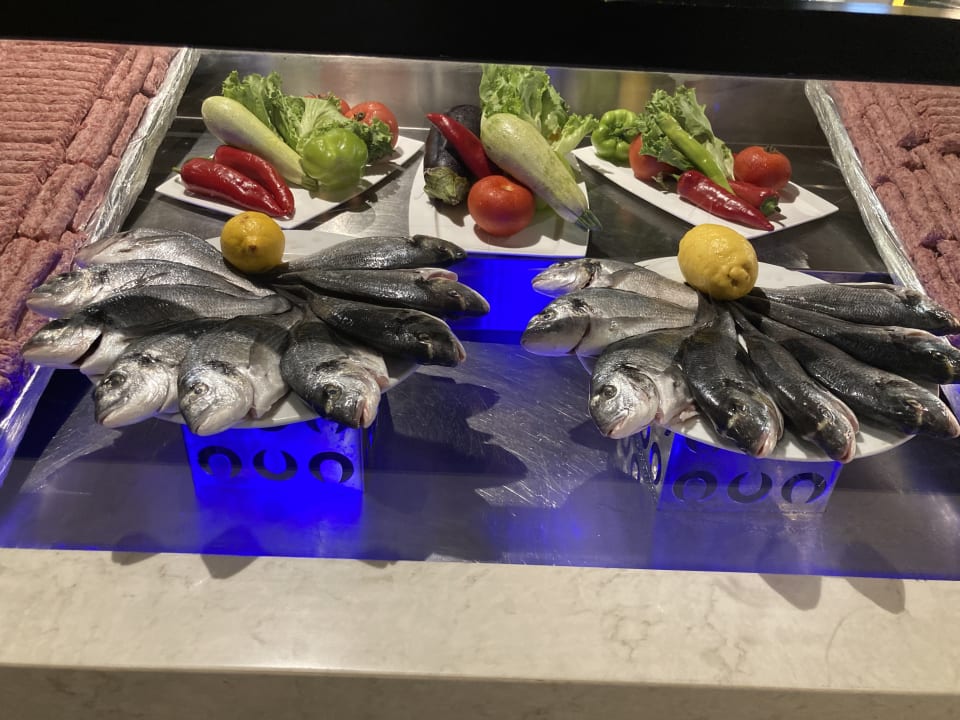 Gastro PALOMA Perissia