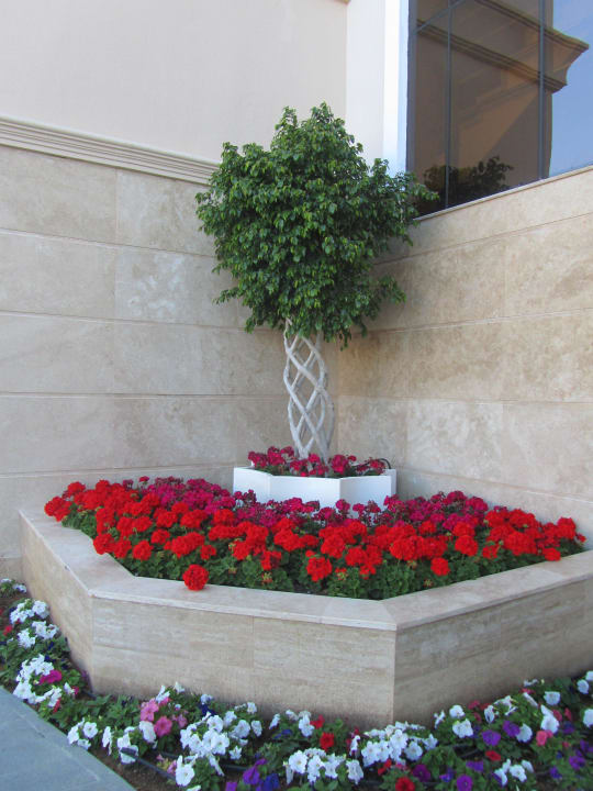 Hotel Alva Donna Exclusive Dobedan Exclusive Hotel And Spa