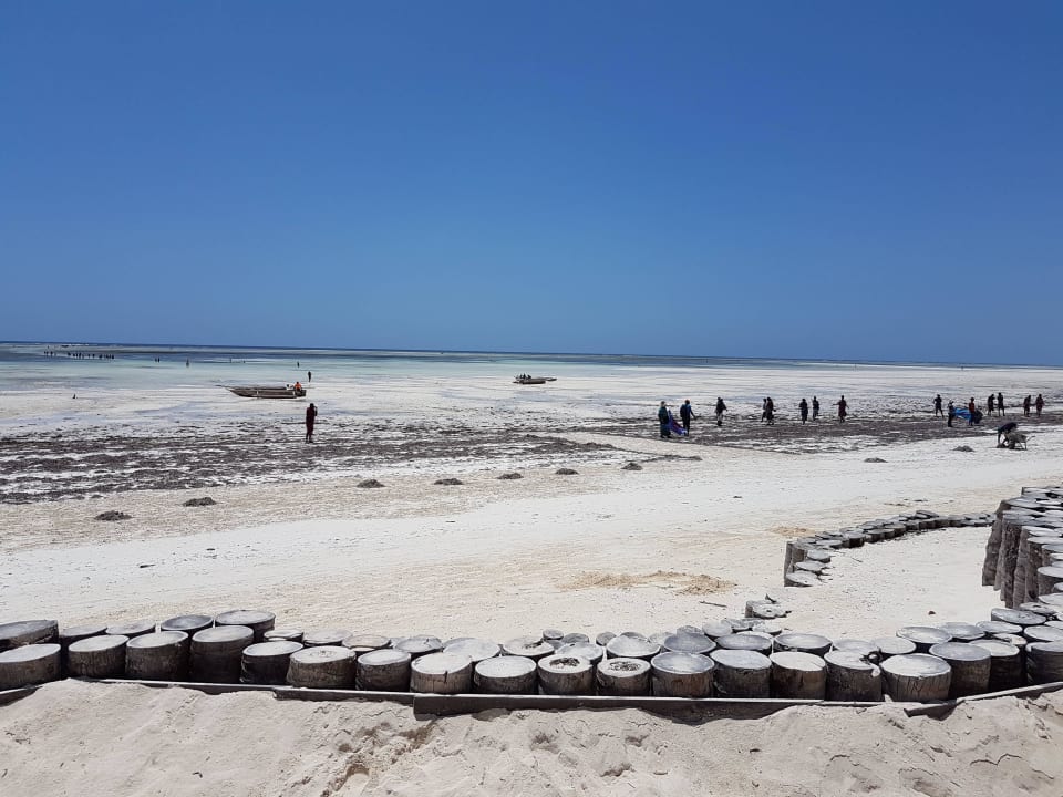 Weit hinaus laufen, kann man  TUI Blue Bahari Zanzibar