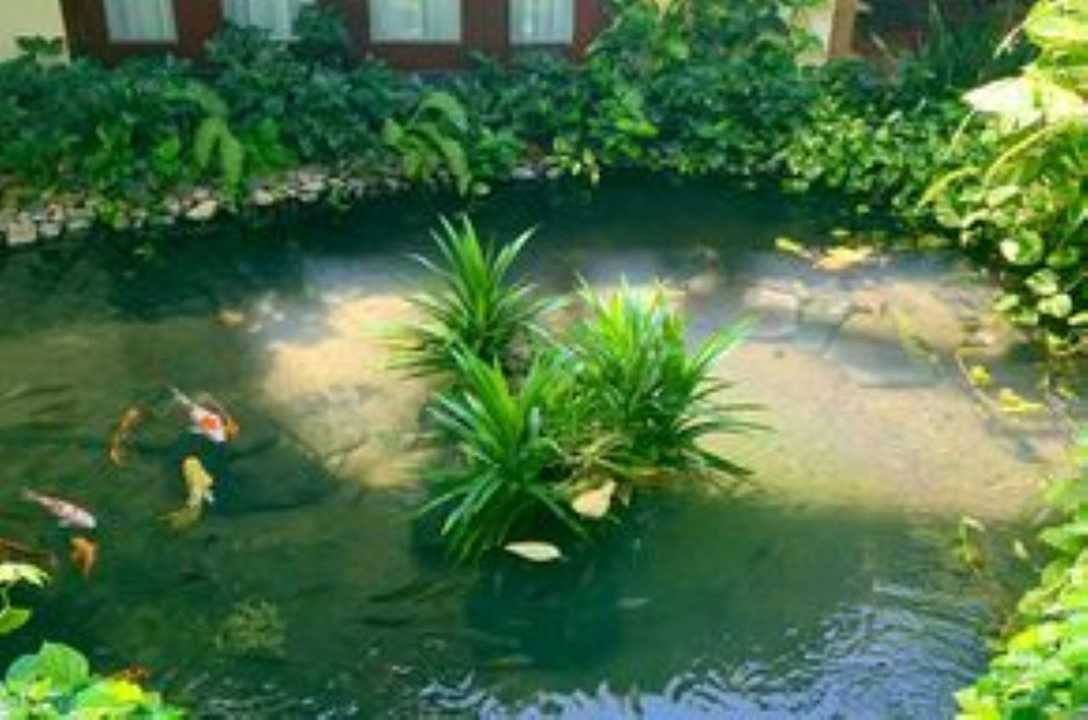 Außenansicht Bamboo Village Beach Resort & Spa