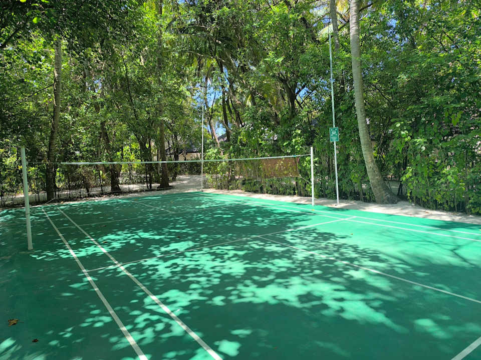 Pool Summer Island Maldives