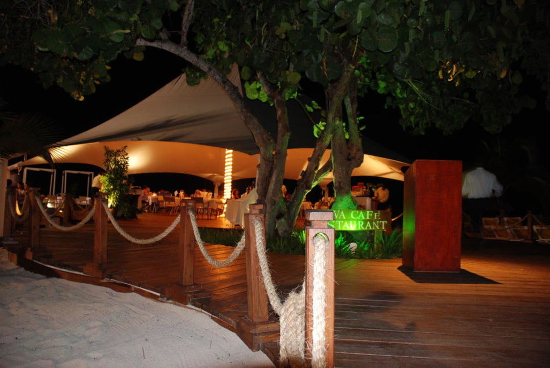 VIVA Cafe Hotel Viva Dominicus Palace by Wyndham-All Inclusive Resort