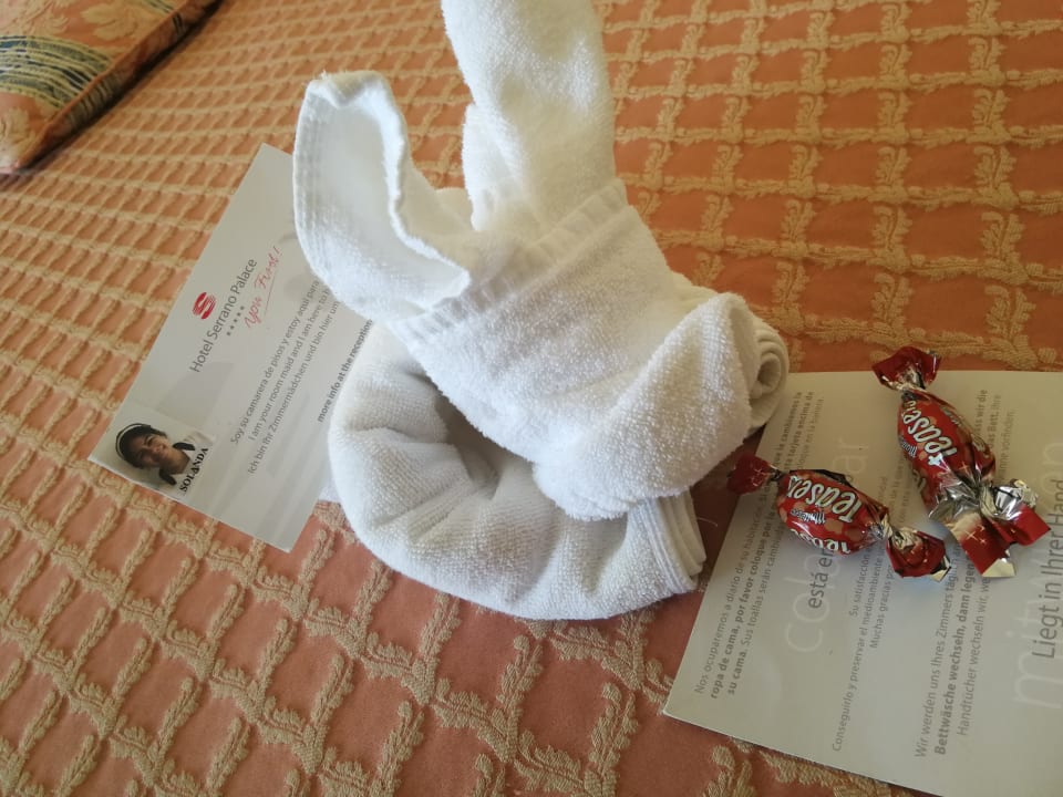 Zimmer Hotel Serrano Palace