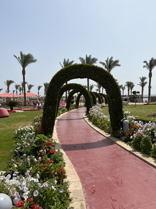 Gartenanlage Pickalbatros Palace Resort