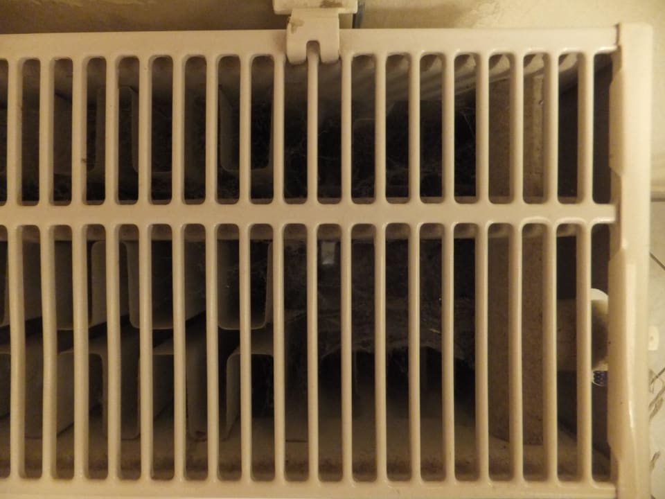 Spinnweben in der Heizung Waldschlössl Silent Appartements
