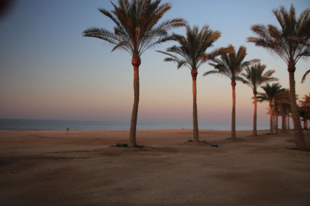 Strand Steigenberger Coraya Beach - Adults only