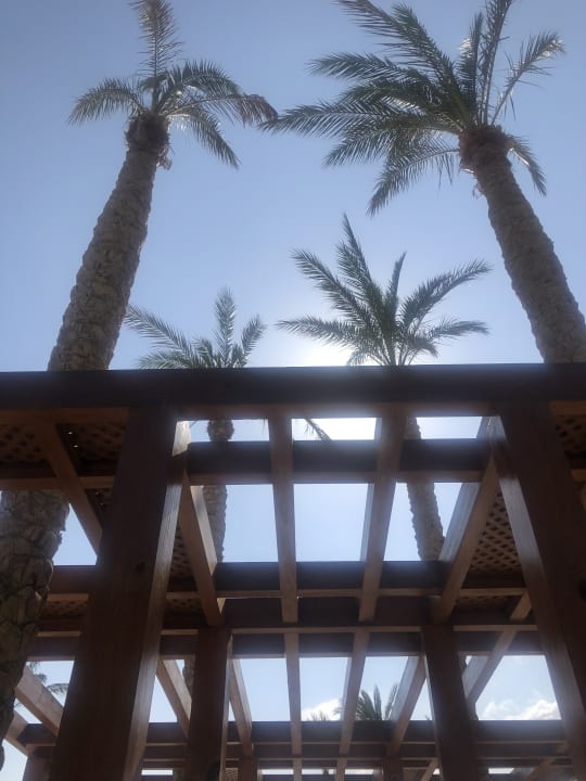 Ausblick Makadi Spa - Adults only