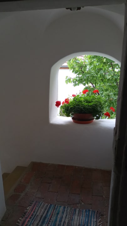 Ausblick Gästehaus Hans Moser