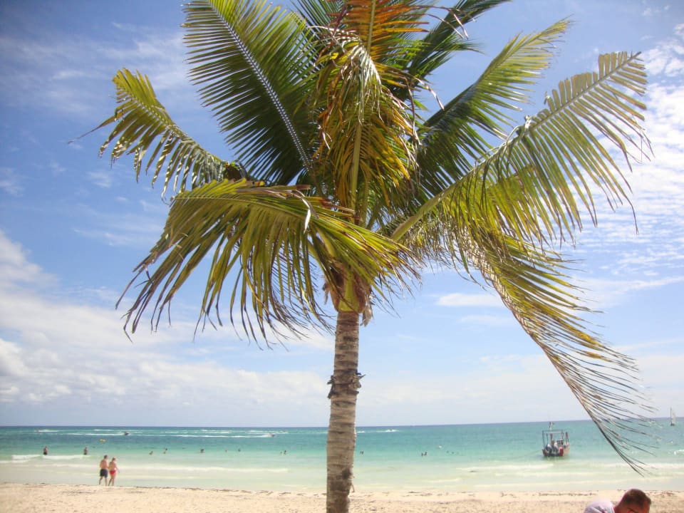 Hotel Catalonia Playa Maroma Catalonia Playa Maroma