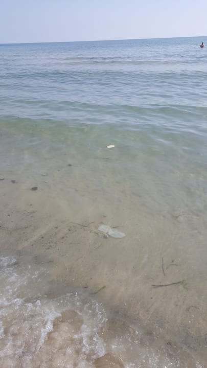 Strand El Ksar Resort & Thalasso