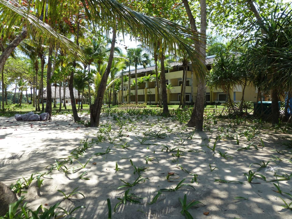 Strand Iberostar Waves Costa Dorada