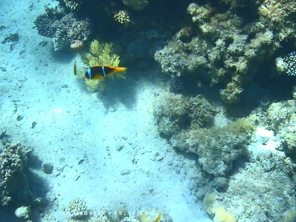 Sport & Freizeit Continental Hotel Hurghada