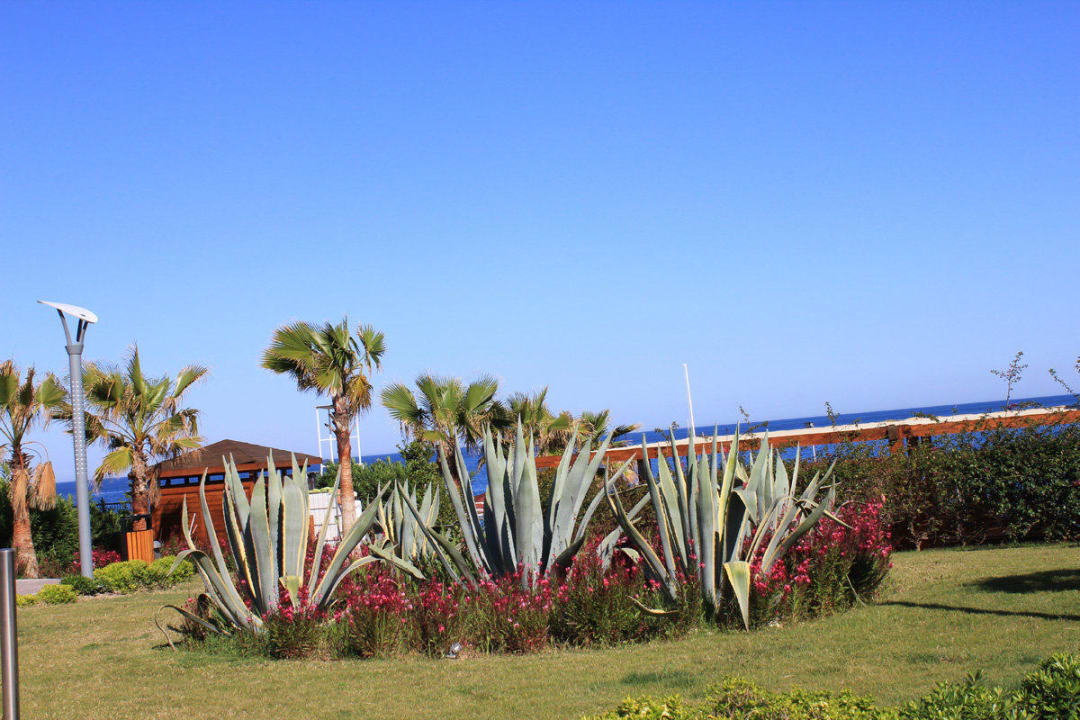 Территория Akka Alinda Hotel