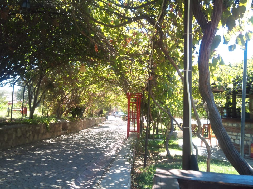 Eingang Hotel Aral Tatil Ciftligi