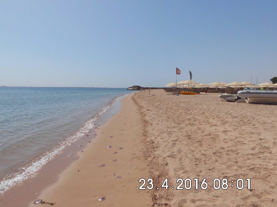 Strand Menaville Safaga